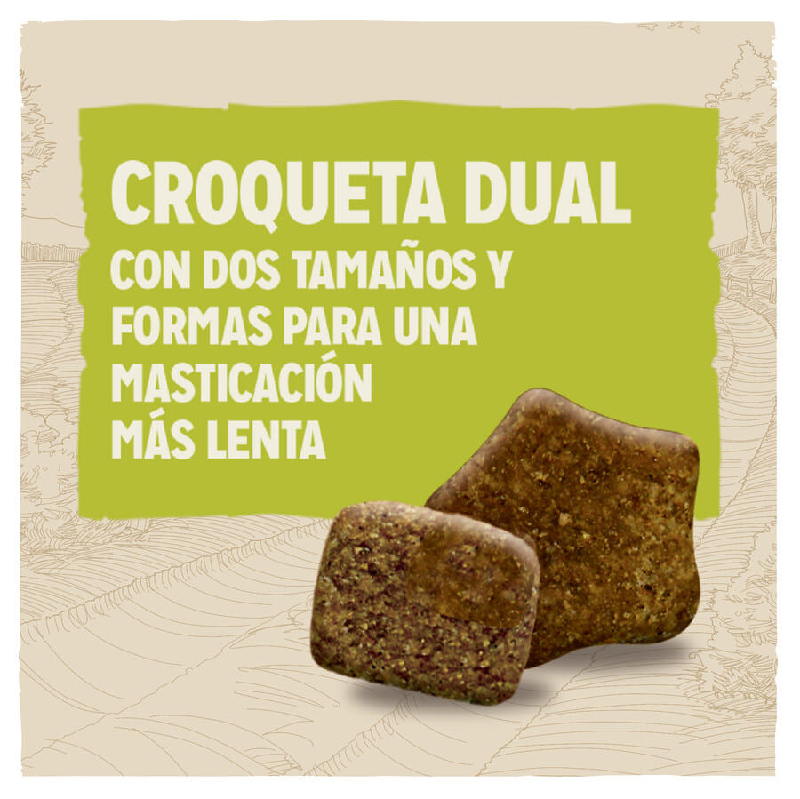 2.5 kg Dog Chow Adult borrego ra&ccedil;&atilde;o para c&atilde;es, , large Imagem n&uacute;mero 3